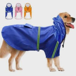 PU Dog Raincoat 06-1019
