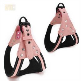 GMTPET Pet factory wholesale Pet dog car harness for girls 109-0007 gmtproducts.com