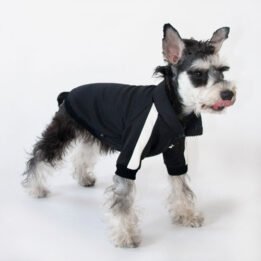 Sport Pet Clothes Custom Fashion Dog BomberJacket Blank Dog Clothes gmtproducts.com