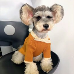 Dog Sweater Bowknot Plain Knit Sweater Cute Cat Winter Clothing Pet Clothes Pet Accessories gmtproducts.com