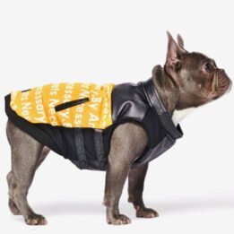Pet Dog Clothes Vest Padded Dog Jacket Cotton Clothing for Winter gmtproducts.com