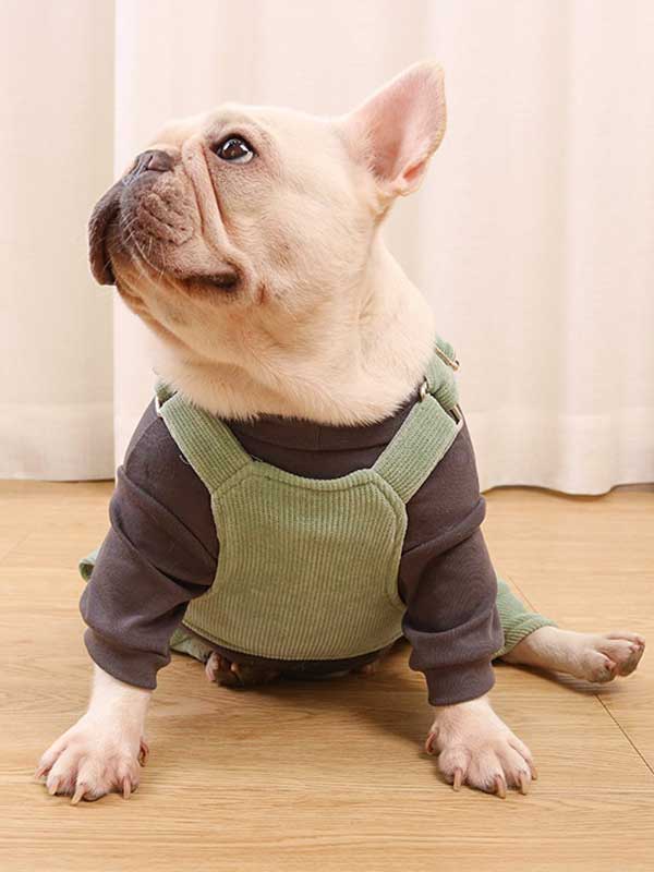 GMTPET French fighting clothes high elastic comfortable solid color plus velvet thick bottoming shirt T-shirt bulldog dog clothes 107-222016 gmtproducts.com