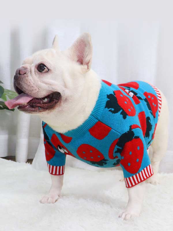 New autumn and winter dog clothes bulldog sweater strawberry cartoon short body fat dog method fighting autumn sweater 107-222041 gmtproducts.com