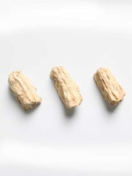 Freeze-dried Rabbit Spine gmtproducts.com