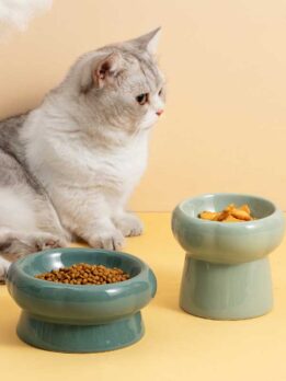 Tigela de cerâmica para gato tigela para comida de gato tigela para beber cachorro 123-12011 gmtproducts.com