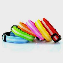 Pet Dog Collar: Led Safety Light-up Flashing Glow	 06-1206 gmtproducts.com