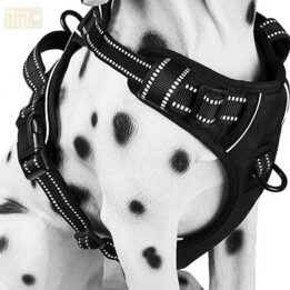 Pet Factory wholesale Amazon Ebay Wish hot large mesh dog harness 109-0001 www.gmtproducts.com
