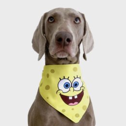 New Product Yellow Cartoon Cute Duck triangle scarf Pet Saliva Towel gmtproducts.com