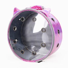 Pet Travel Bag for Cat Cage Carrier Breathable Transparent Window Box Capsule Dog Travel Backpack gmtproducts.com