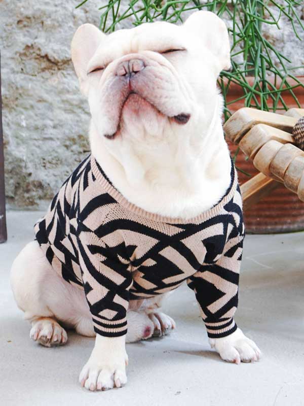 Оптовый поставщик одежды для домашних животных Роскошный вязаный свитер для собак Теплая зимняя одежда для собак 06-1392 gmtproducts.com