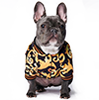 pet products dog products dog apparel-dog-clothes