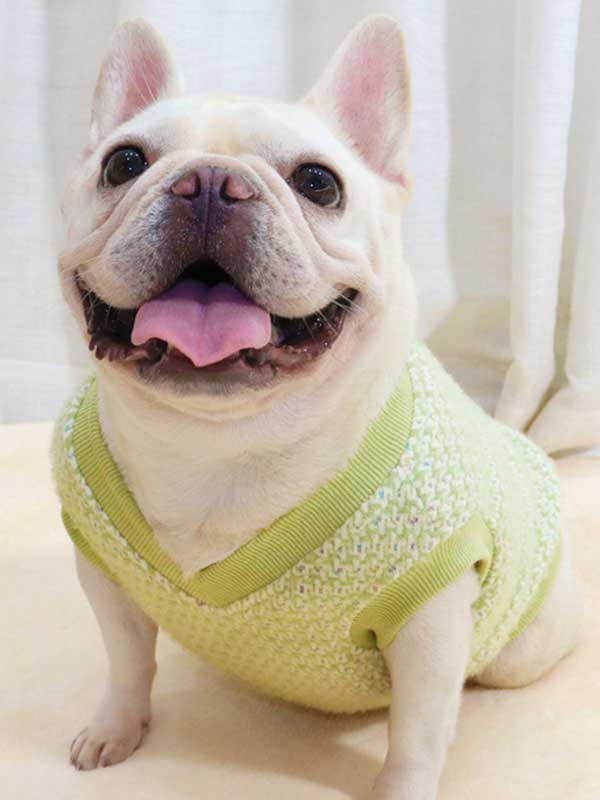 GMTPET Thickened autumn and winter fat dog short body bulldog pug dog lady plush rich rich French fighting clothes v-neck vest vest 107-222012 gmtproducts.com